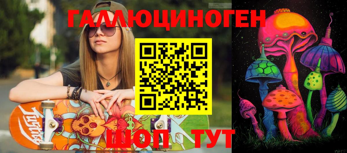 Псилоцибиновые грибы Psilocybe Новый Уренгой